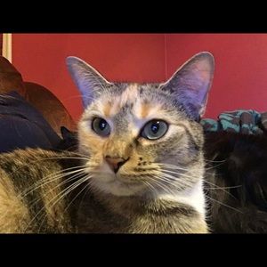 Meet your Posher, Crystal